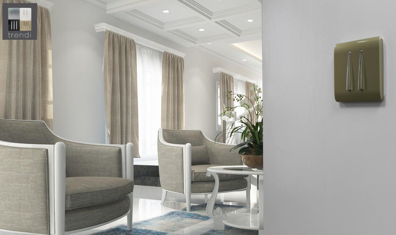 Trendi 2 Gang 2 Way 240V Screwless Raised Front Plate Plastic Artistic Modern Glossy 10 Amp Chrome Rocker Single Electrical Wall Light Switch Champagne Gold - ART-SS4GO