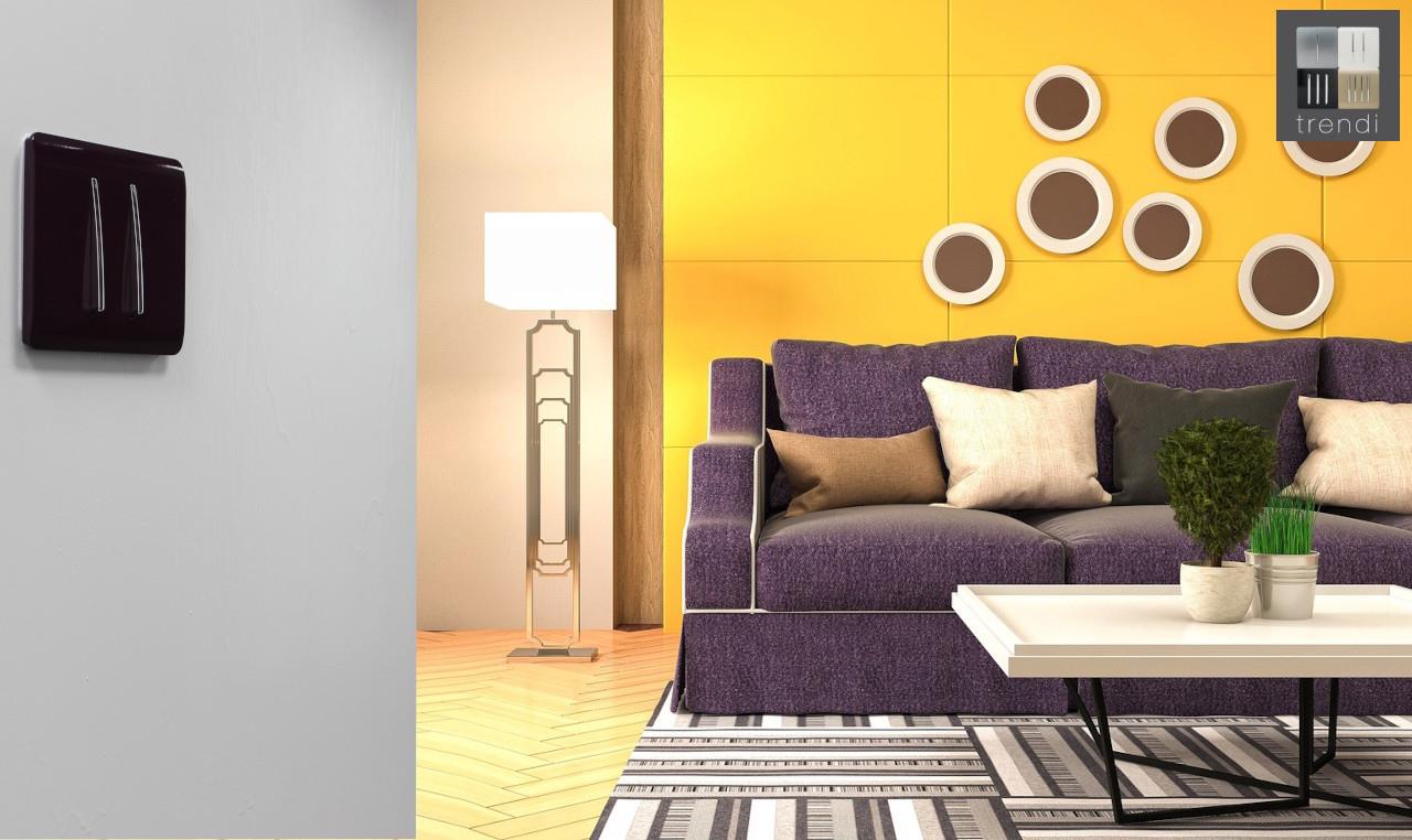 Trendi 2 Gang 3 way (Intermediate) 240V Screwless Raised Front Plate Plastic Artistic Modern Glossy 10 Amp Chrome Rocker Double Electrical Wall Light Switch in Plum Purple