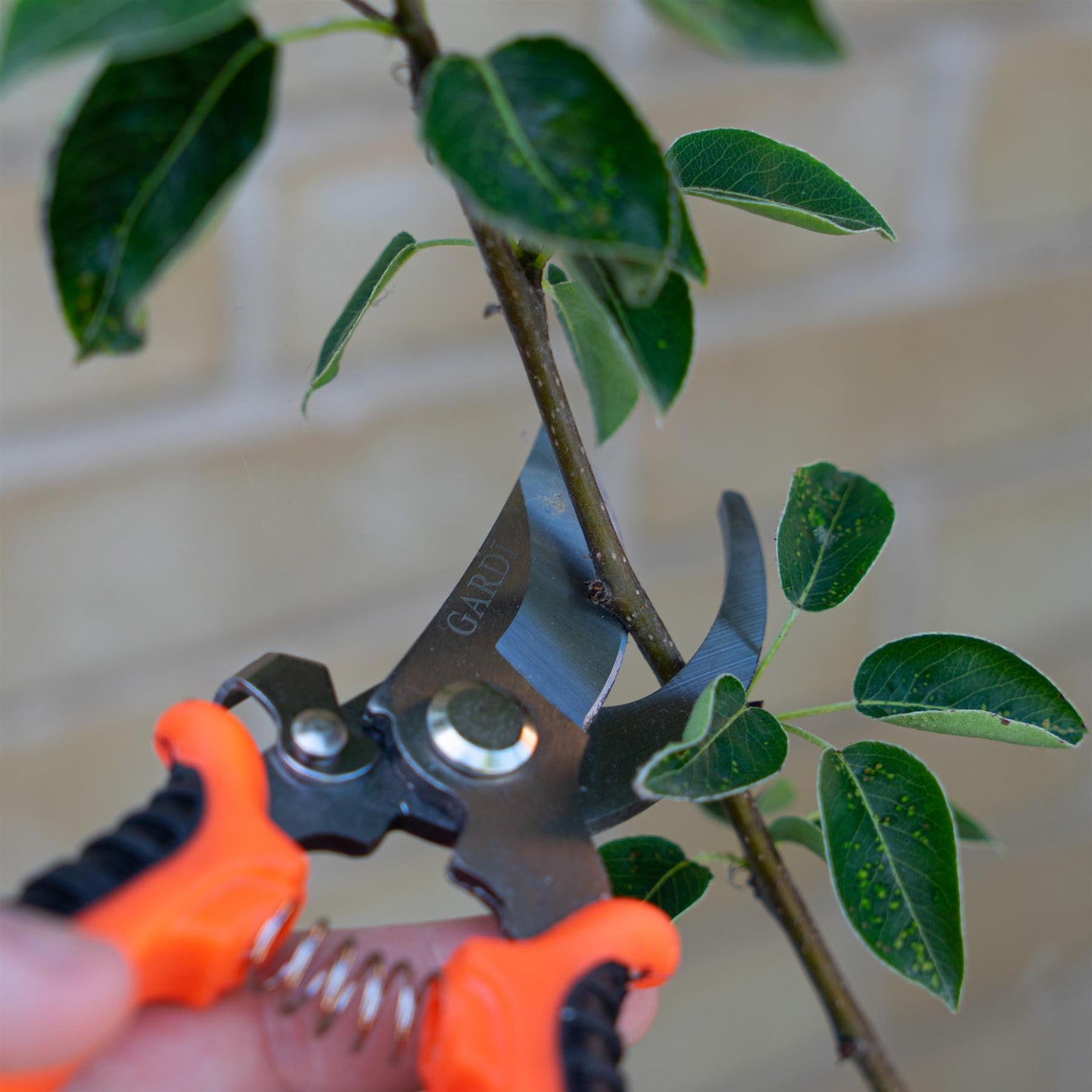 Gardi Orange Hand Held Pruning Secateurs with Locking Mechanism