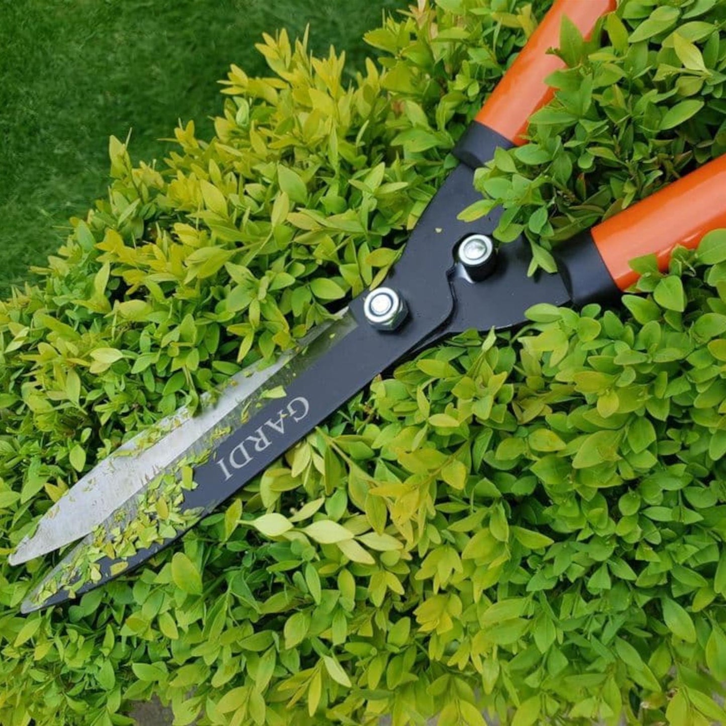 Gardi Orange Serrated Garden Hedge Comfort Grip Shears
