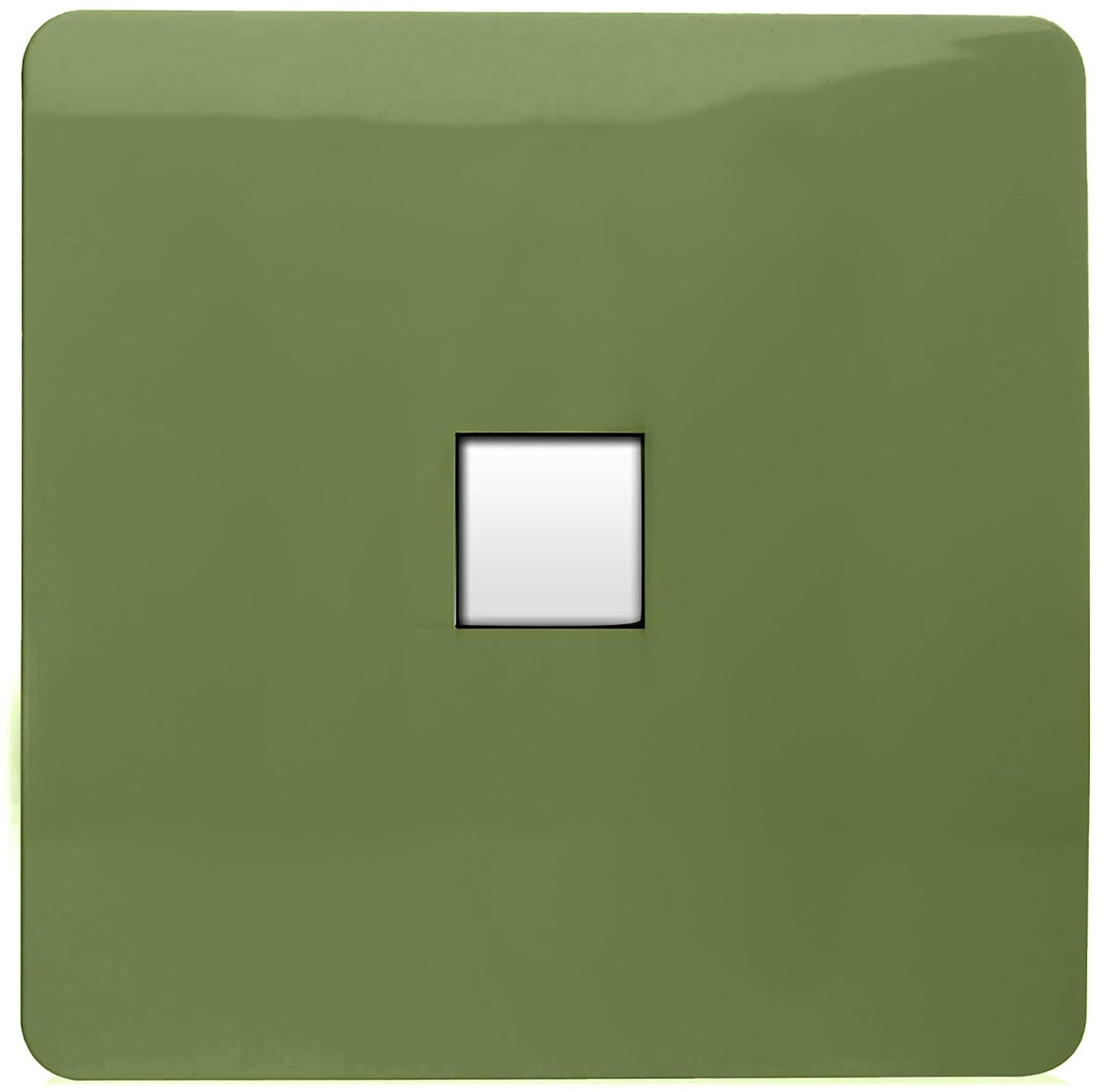 Trendi Artistic Modern Glossy Tactile RJ45 Cat 5e Ethernet Socket Moss Green