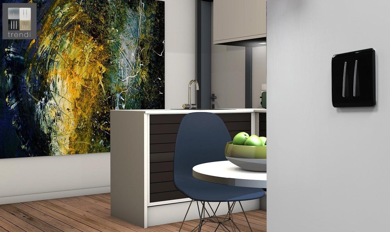 Trendi 2 Gang 2 Way 240V Screwless Raised Front Plate Plastic Artistic Modern Glossy 10 Amp Chrome Rocker Single Electrical Wall Light Switch Piano Black - ART-SS4BK