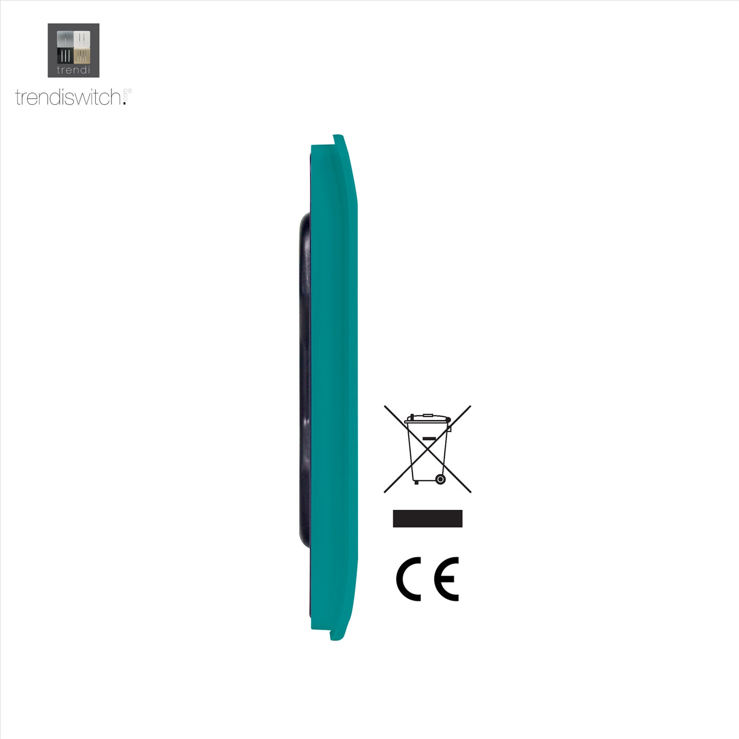 Trendi 2 Gang Artistic Modern Glossy Tactile Double Blanking Plate Bright Teal