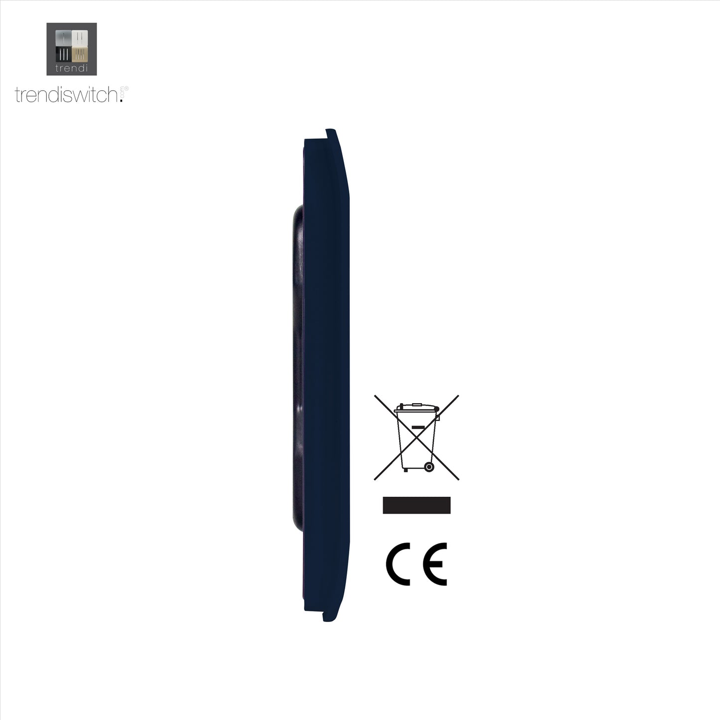 Trendi 2 Gang Artistic Modern Glossy Tactile Double Blanking Plate Navy